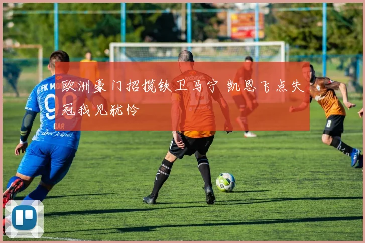 欧洲豪门招揽铁卫马宁 凯恩飞点失冠我见犹怜